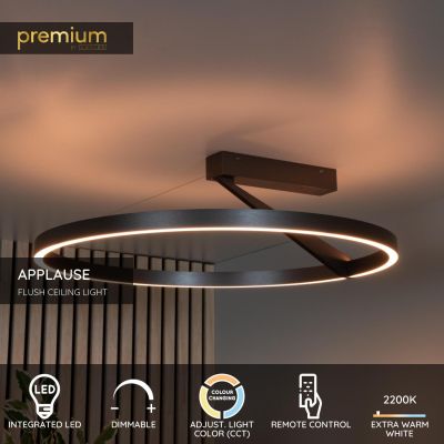 Lucide APPLAUSE - Flush ceiling light - Ø 60 cm - LED Dim. - CCT - 1x40W 2200K/4000K - Grey iron - Premium